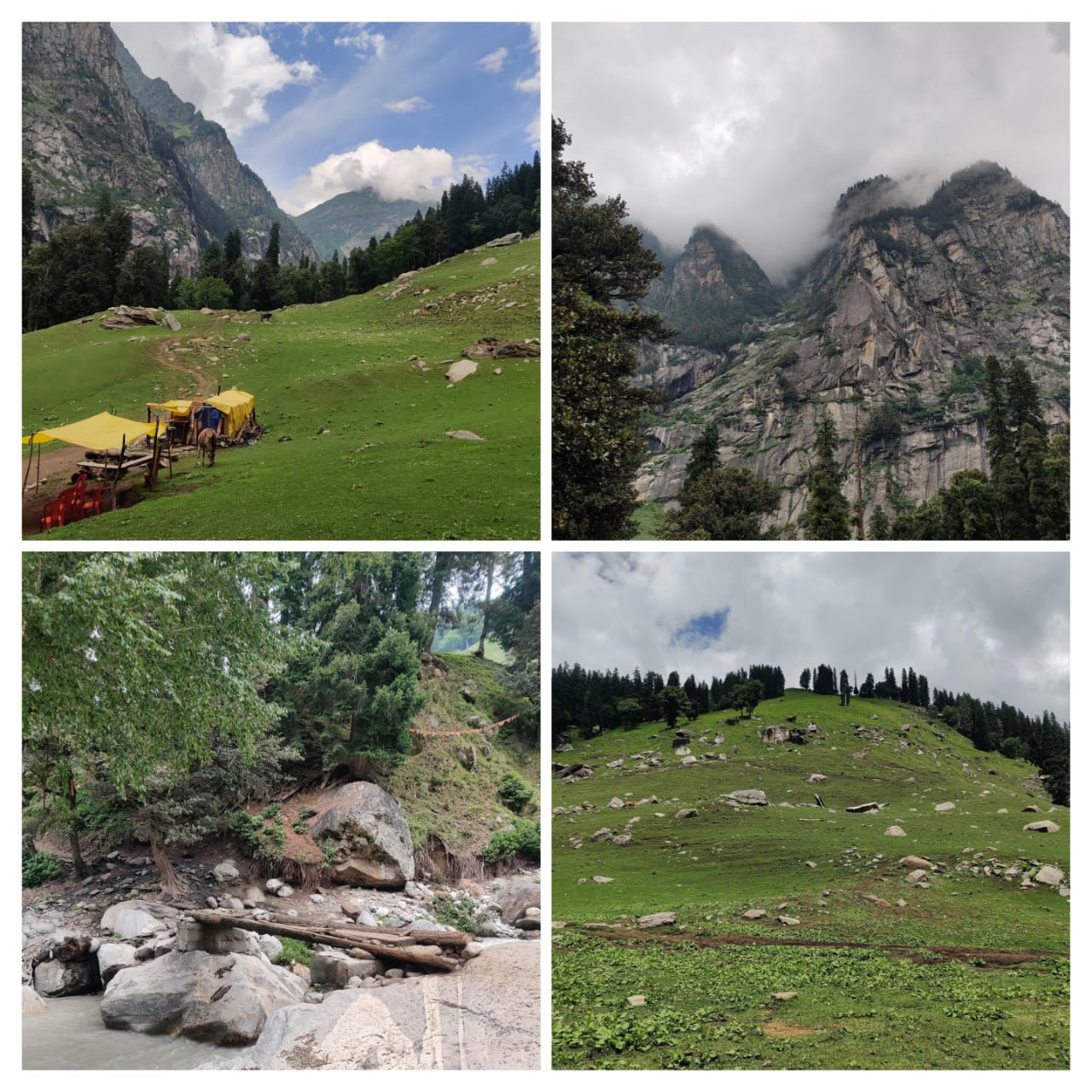 Hampta pass meadows