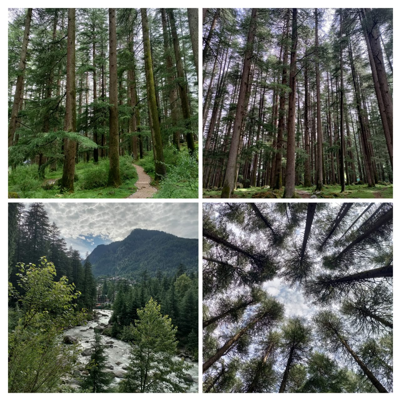 Manali Nature Park